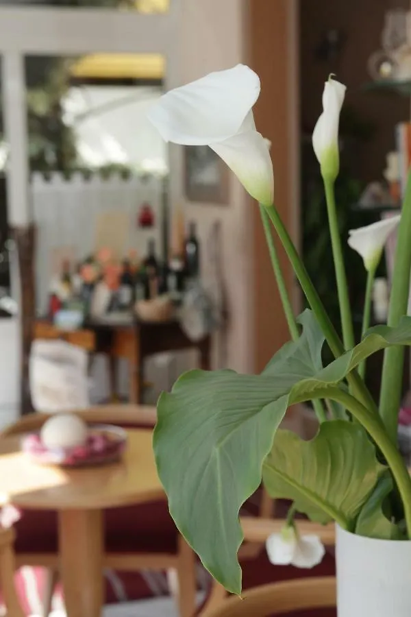Hotel Villa Irma Rimini